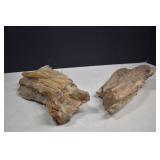 Two Large Pieces Of Petrified Wood