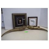 Two Steer Horns, Steer Head Print & Coyote Print