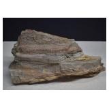 Slab Of Petrified Wood