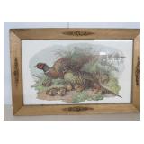 Vintage Framed Pheasant Print - 23x15'