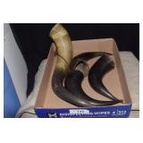 Three Buffalo Horns & One Steer Horn