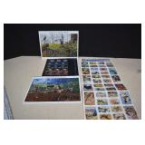 Collection Of Mint (Unused Stamps)
