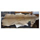 Deer Hide