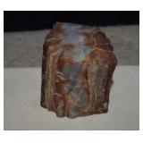 Agatized Petrified Wood Specimen