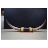 Mounted Longhorn Steer Horns