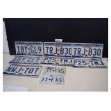 Texas Motorcycle & Auto License Plates