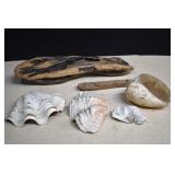 Beach Decor, Driftwood,Shells & More