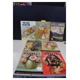 Seven Vintage Learn to Draw Books