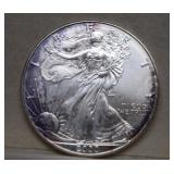 2000 Silver Eagle Dollar - Toned