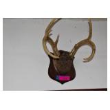 Deer Antlers