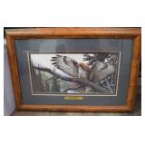 'High Perch' By Thomas Sgumowski, Framed Print 27x