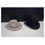 Two Cowboy Hats