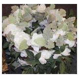 Four Floral Grapevine Wreaths