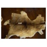 Animal Pelt