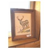Framed Print of Buck