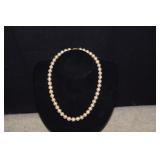 14K (G585) Clasp & Pearl Necklace