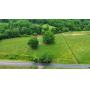 ONLINE Auction in Elkmont, AL - 7.40 Acres, Creek, Great Build Sites