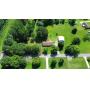 LIVE Auction in Killen, AL - 3 Tracts (Brick Home, Shop, and Vacant corner Lot)