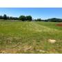 ONLINE Auction in Athens, AL - 2 Building Lots