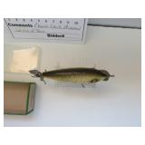 Creek Chub Minnow with box
