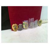 6 SECURITY OFFICER BADGES
