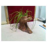 **CERAMIC PLANTER W/ LIVE PLANT