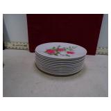 *MCM PLASTIC ROSE PLATES