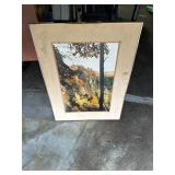 **LG LOCAL BLUFFS PICTURE NO GLASS