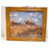 **PHEASANT PICTURE