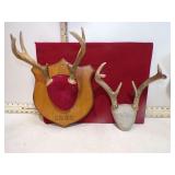 **DEER HORNS