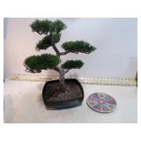 **ARTIFICIAL BONSAI TREE & PLATE
