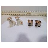 TINY DOGS & PIGS