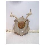 **5 POINT BUCK ANTLERS ON PLAQUE