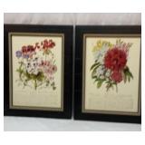 Two framed floral prints