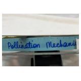 Pollination mechanisms.  16mm film.