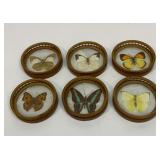 Set of six frosted glass butterfly coasters