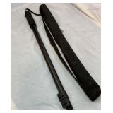Adjustable walking stick with case