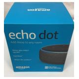 Echo Dot voice control