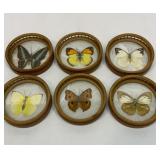 Set of six frosted glass butterfly coasters
