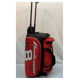Budweiser Dale Jr  travel bag. See description