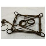 Conibear medium size trap. 7 inches wide.
