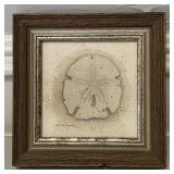 Vtg Framed Print of Sand Dollar by D. Morgan