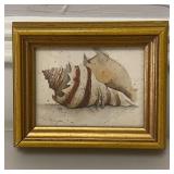 Vtg Framed Print of Seashell by D. Morgan