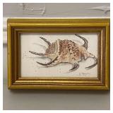 Vtg Framed Print of Spider Conch by D. Morgan