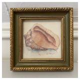 Vtg Framed Print of Conch by D. Morgan