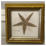 Vtg Framed Print of Starfish by D. Morgan
