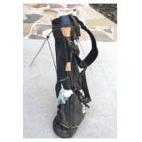 Ping Golf Bag