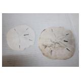 Sand Dollars