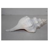 Large Spiked Conch Sea Shell