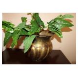 12 x 14 Brass Planter & plant